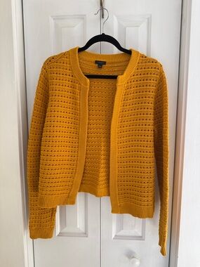Ann Taylor  Factory Mustard Open-Front Eyelet Knit Cardigan Large